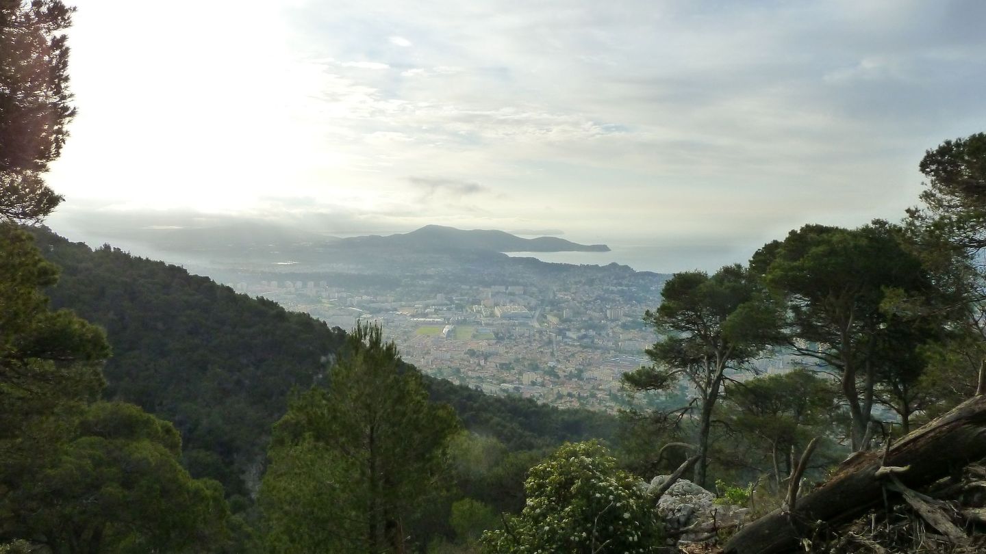 P1000063.JPG