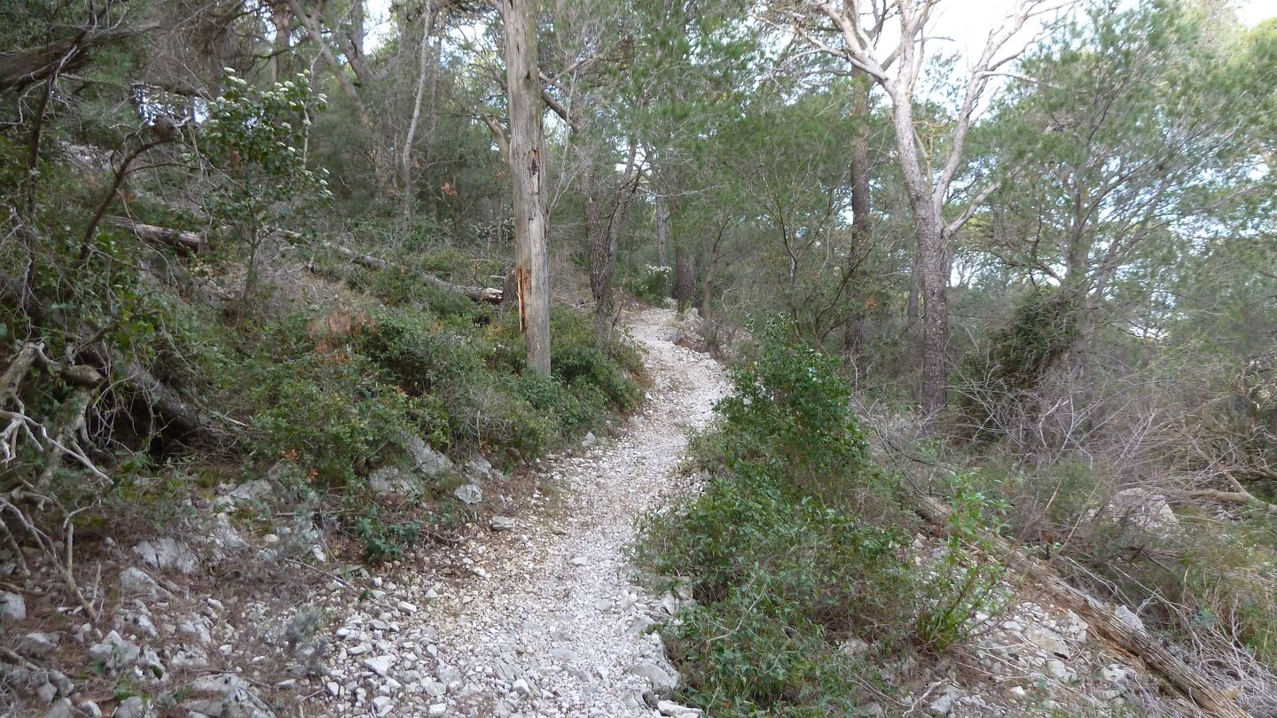 P1000064.JPG