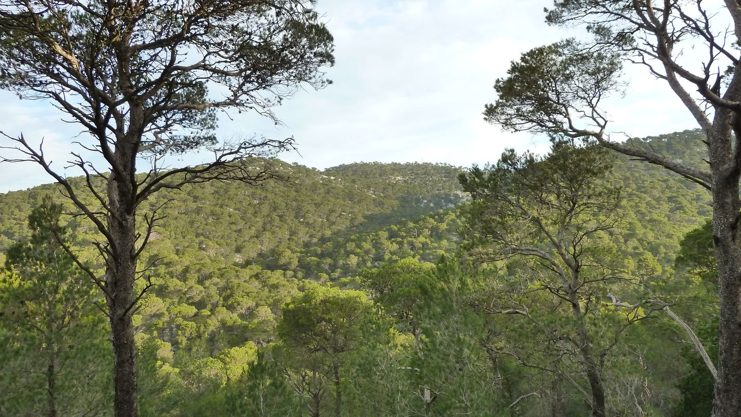 P1000065.JPG