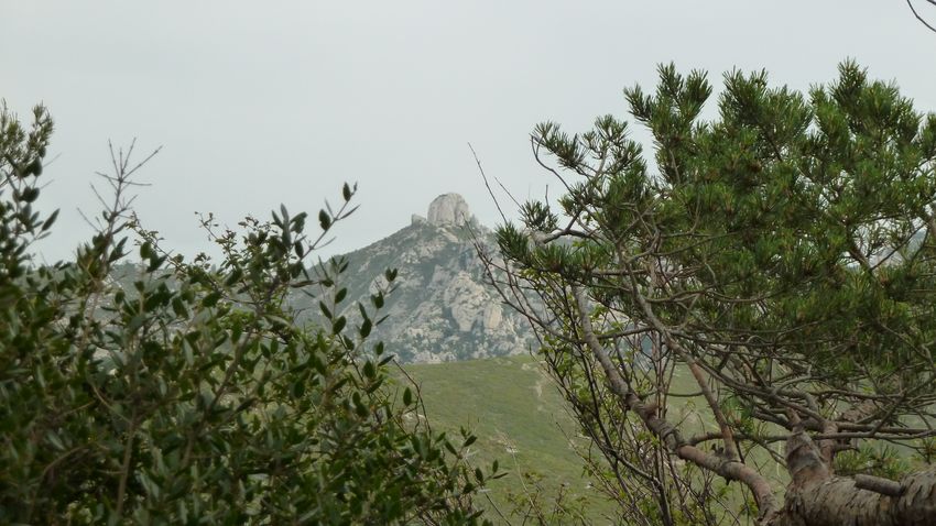 tour_etoile_2011_48_1.jpg