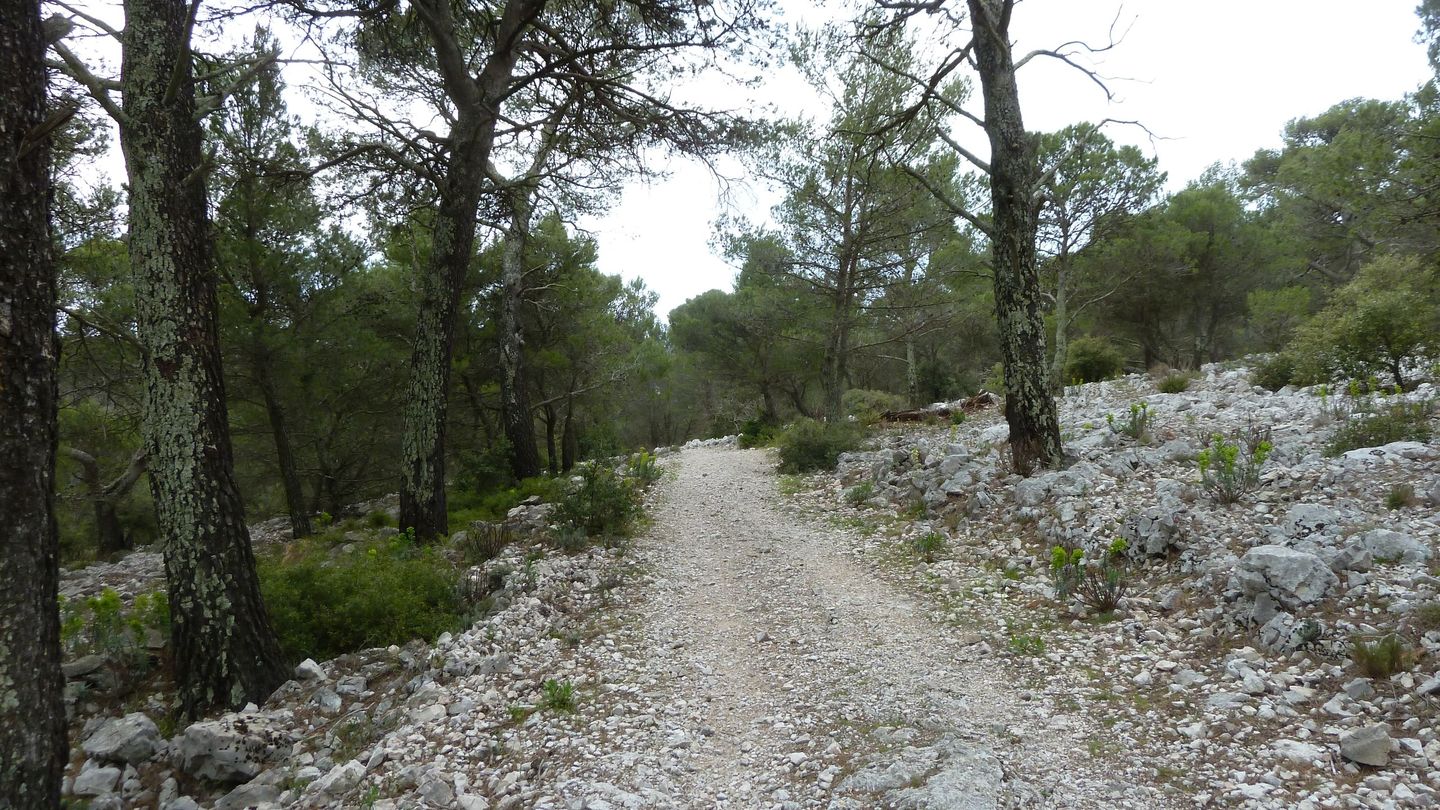 faron_complet_avril_2018_0107.JPG