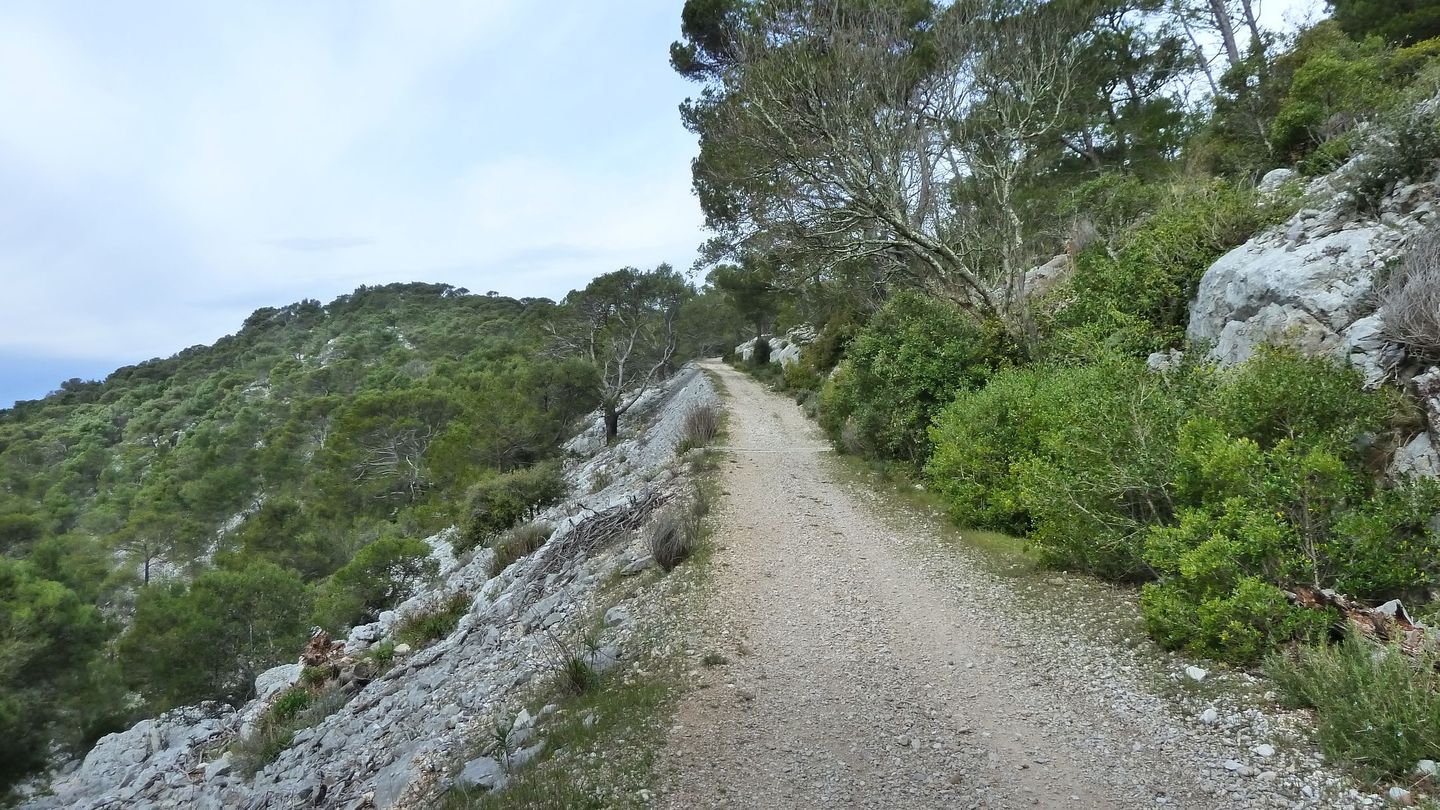 faron_complet_avril_2018_0115.JPG