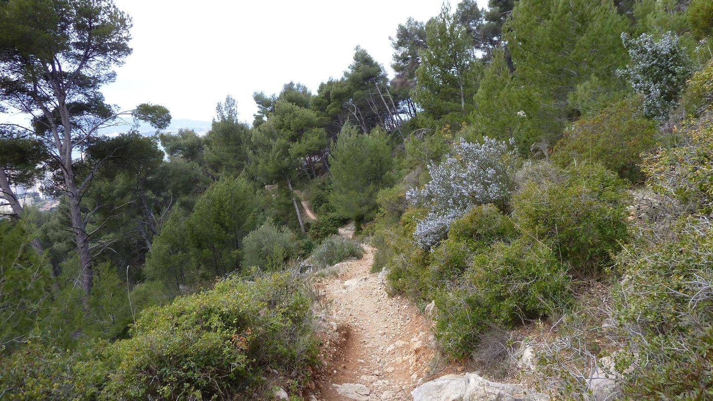 faron_complet_avril_2018_0129.JPG