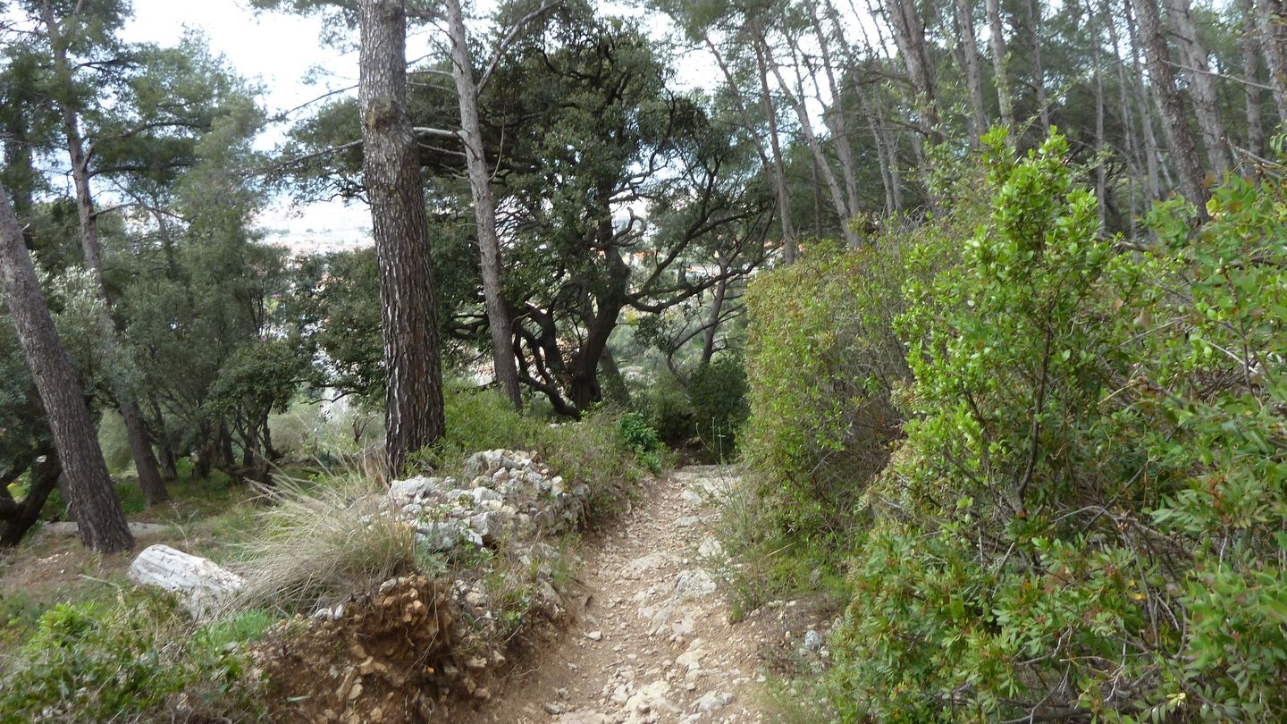 faron_complet_avril_2018_0131.JPG