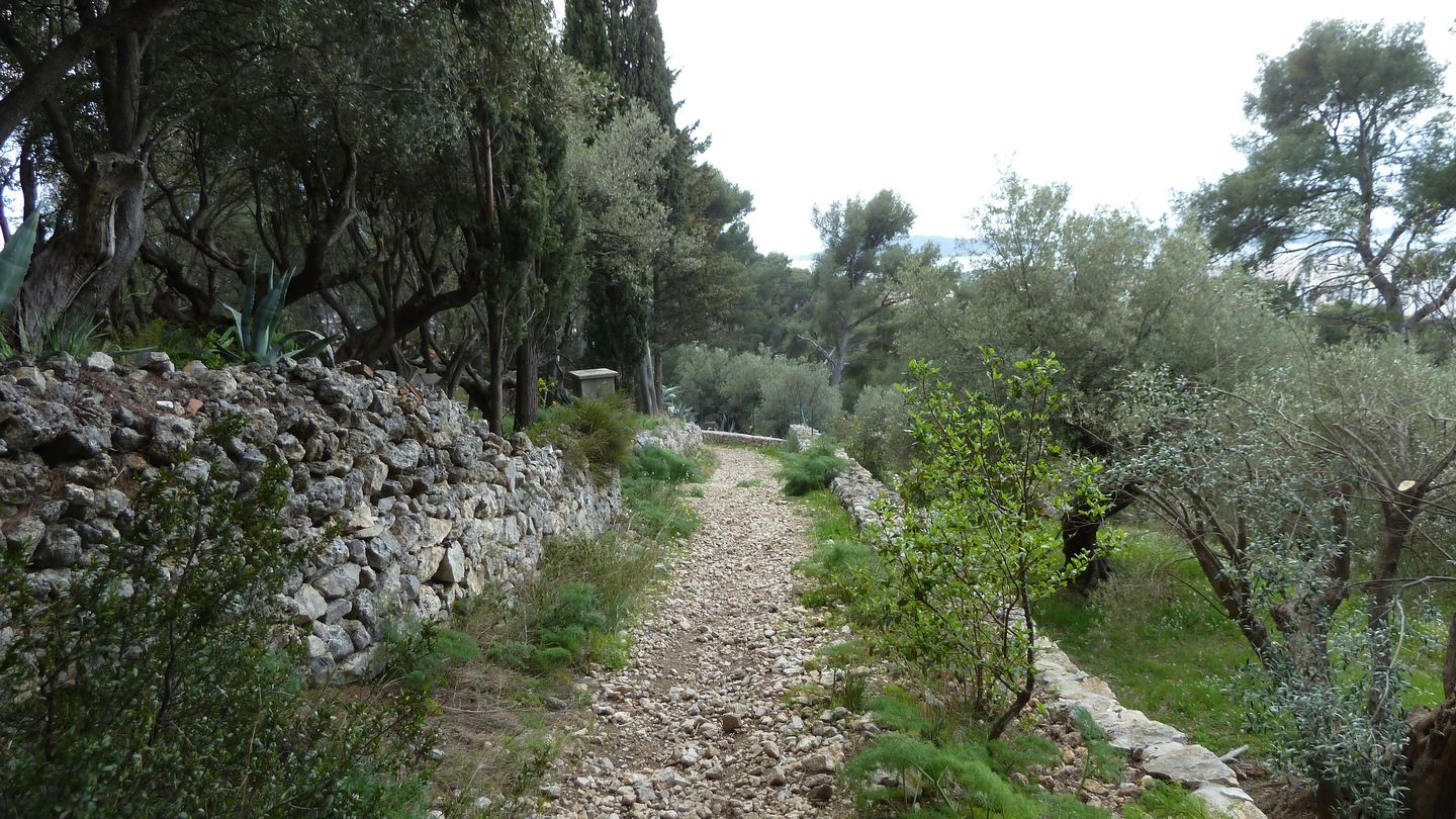 faron_complet_avril_2018_0133.JPG