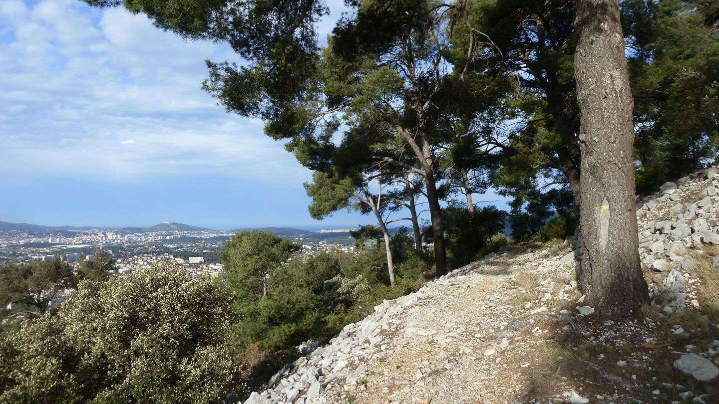 faron_complet_avril_2018_015.JPG