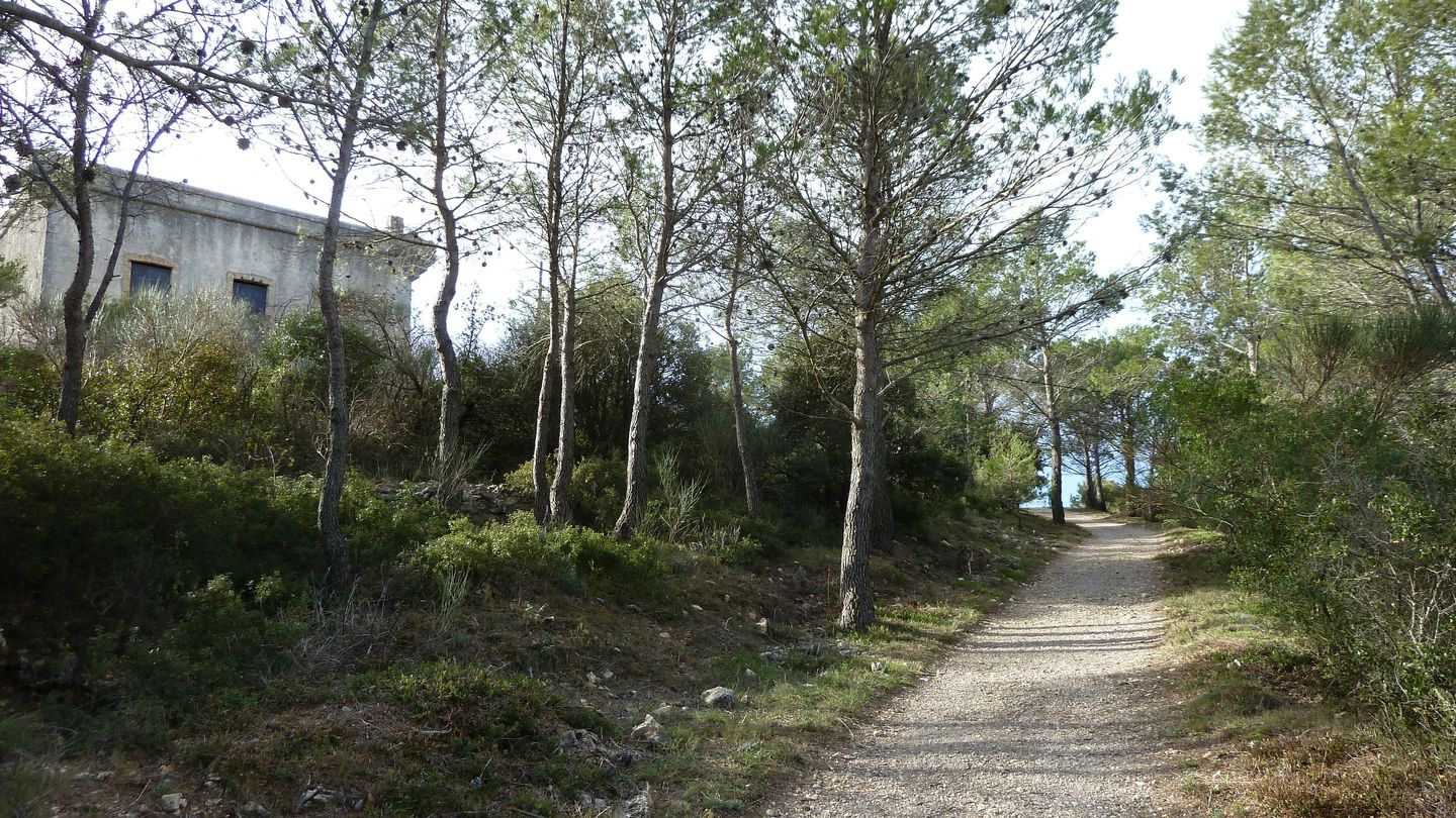 faron_complet_avril_2018_041.JPG