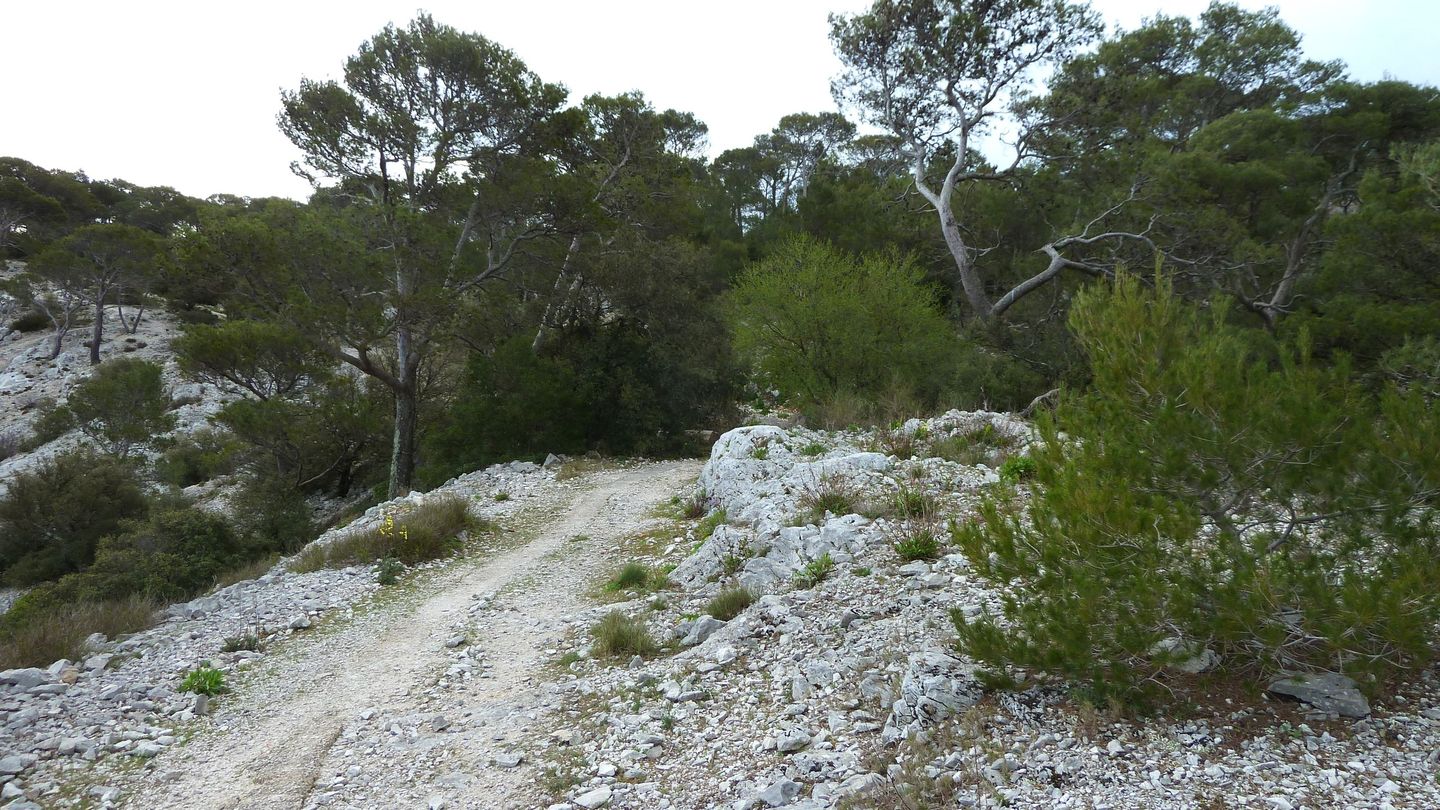 faron_complet_avril_2018_059.JPG