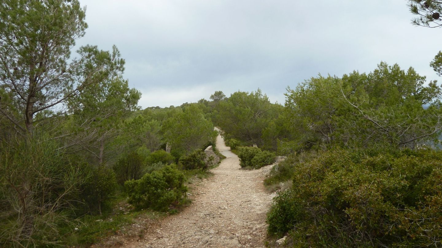 faron_complet_avril_2018_079.JPG