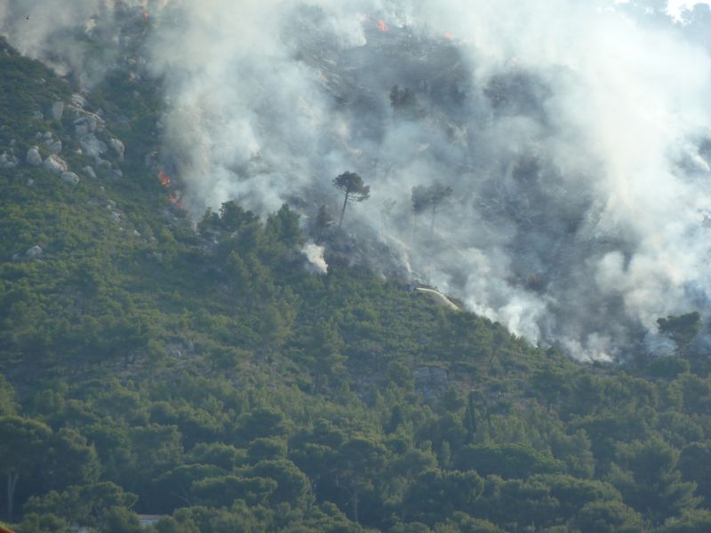 feu_faron_juillet_2011_01.JPG