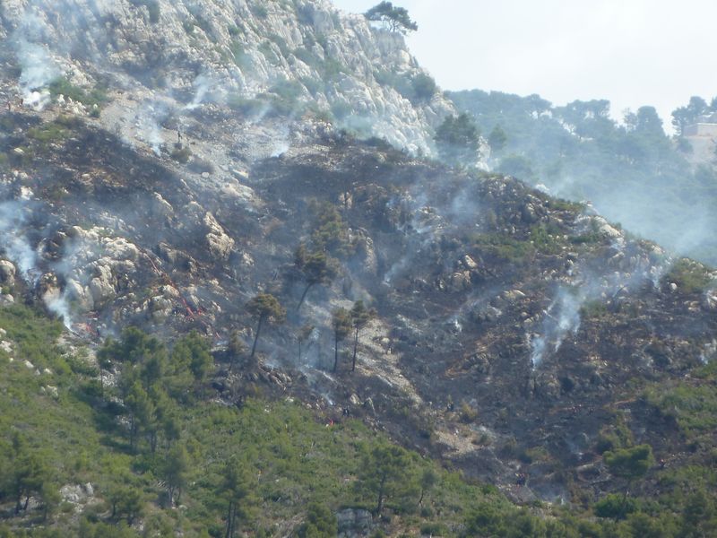 feu_faron_juillet_2011_2.JPG
