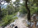 faron_juin_2011_016_1.jpg