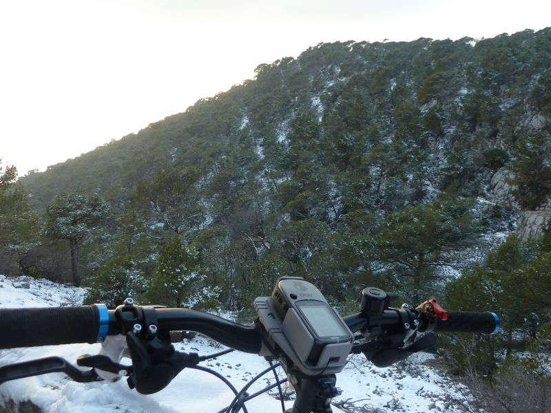 faron_fev_2012_030.jpg