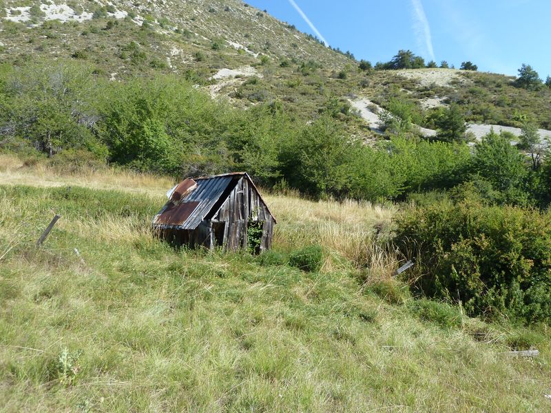 font_blanche_2011_063.jpg