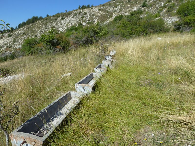font_blanche_2011_067.jpg