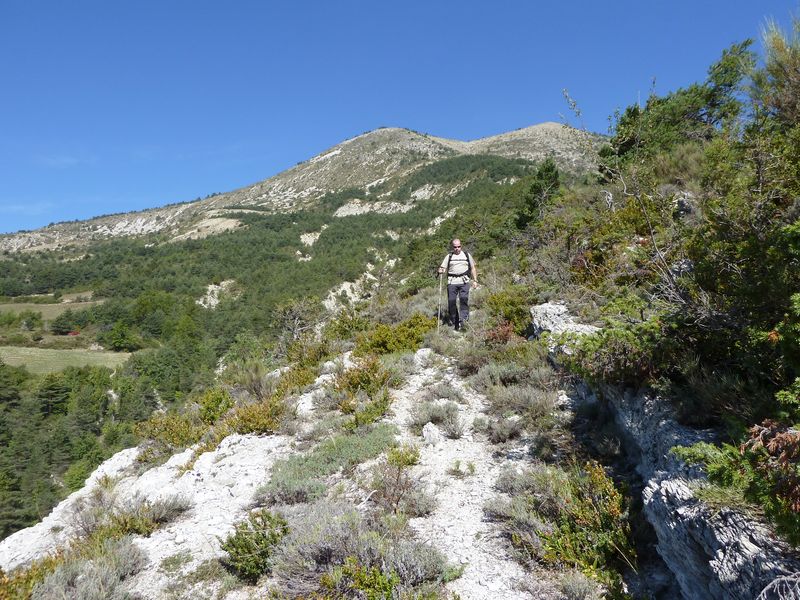 font_blanche_2011_095.jpg