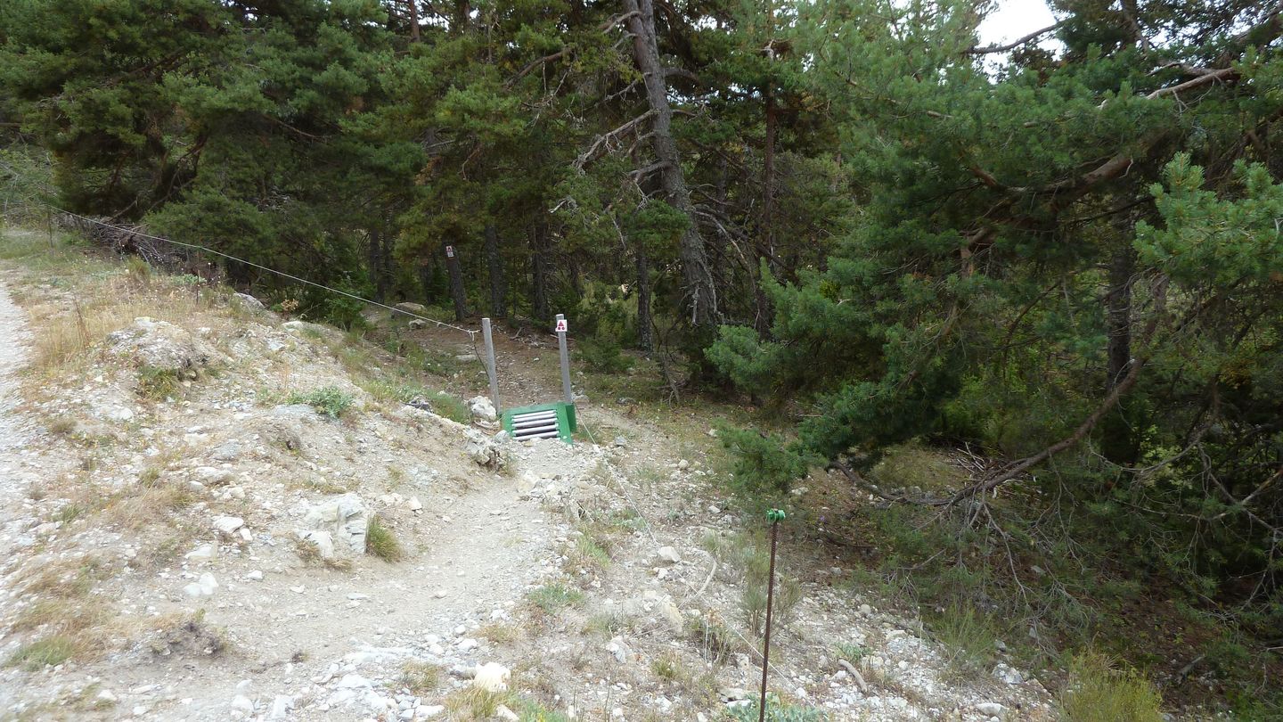 P1010993.JPG