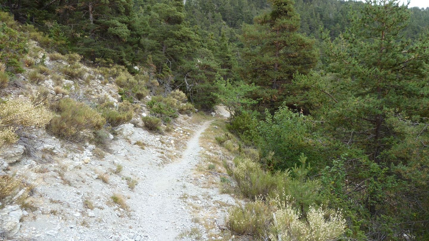 P1010994.JPG