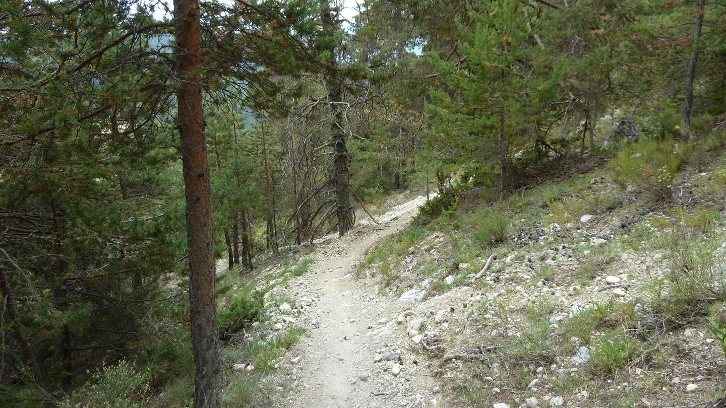 P1010995.JPG