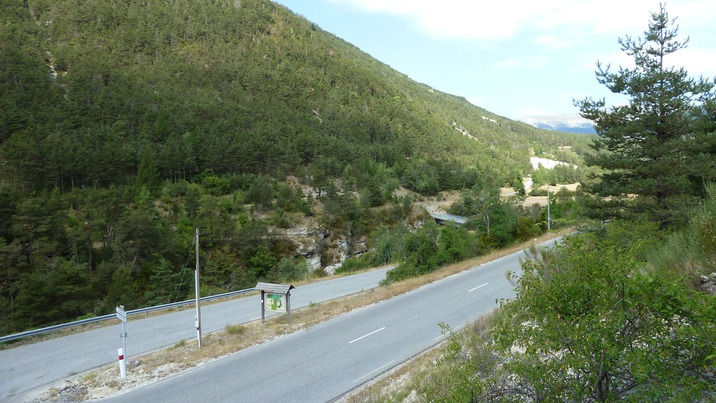 P1020009.JPG