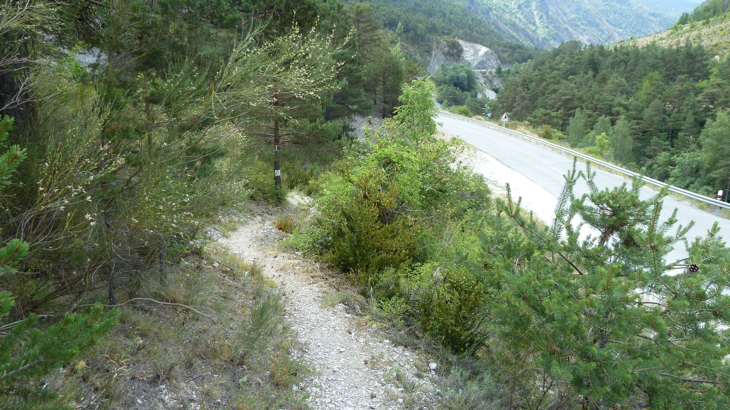 P1020010.JPG