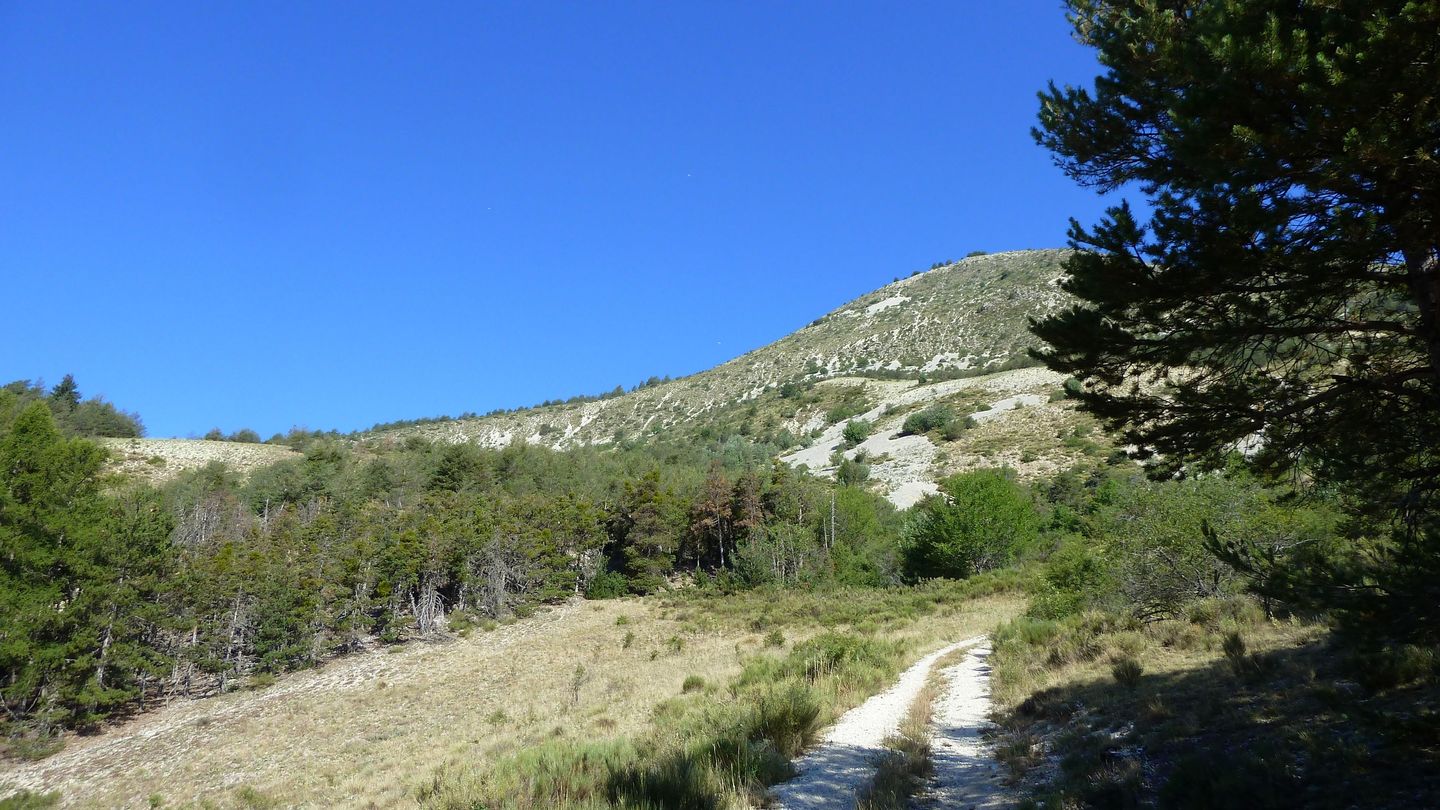 cab_fontblanche_2017_040.JPG