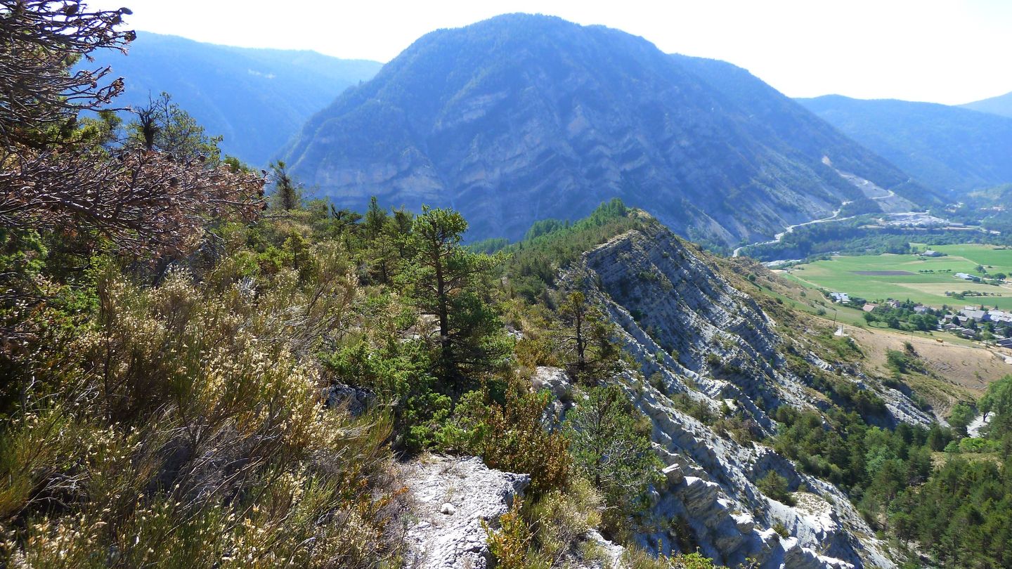cab_fontblanche_2017_073.JPG