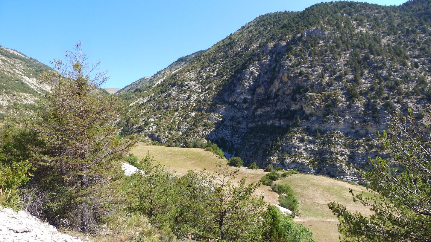 cab_fontblanche_2017_085.JPG