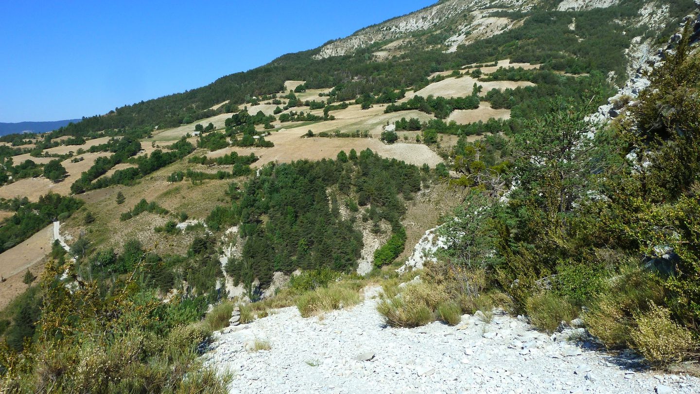 cab_fontblanche_2017_091.JPG