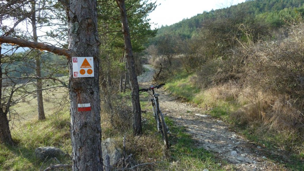 foret_dom_des_barres_avril_2013_030.jpg
