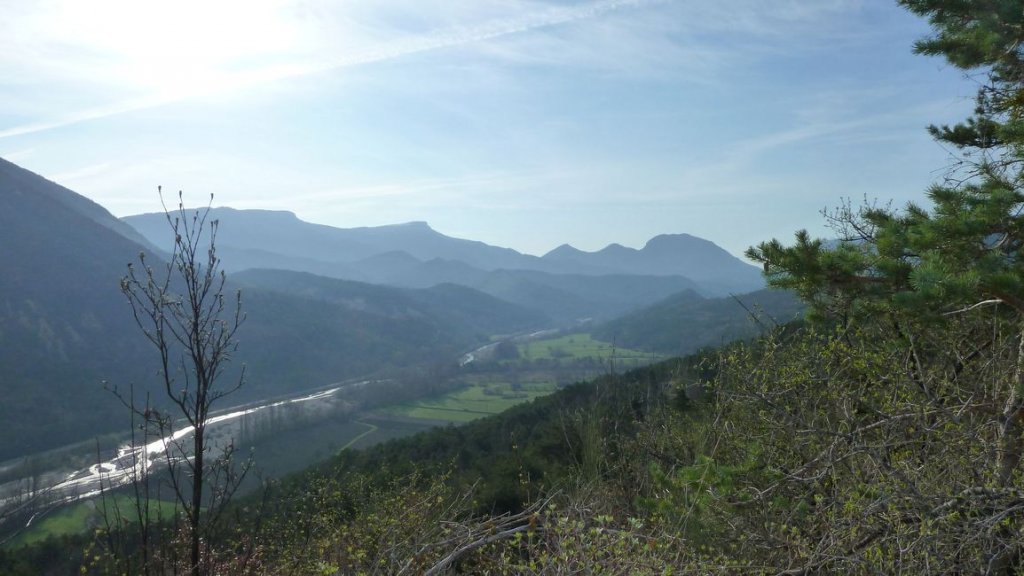 foret_dom_des_barres_avril_2013_046.jpg