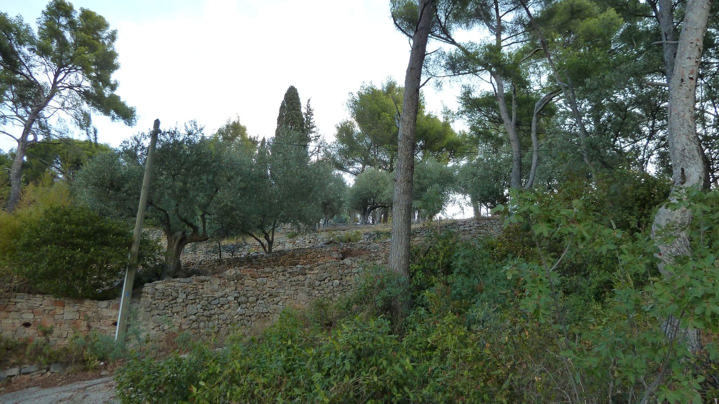 mont_faron_sept_2017_03.JPG