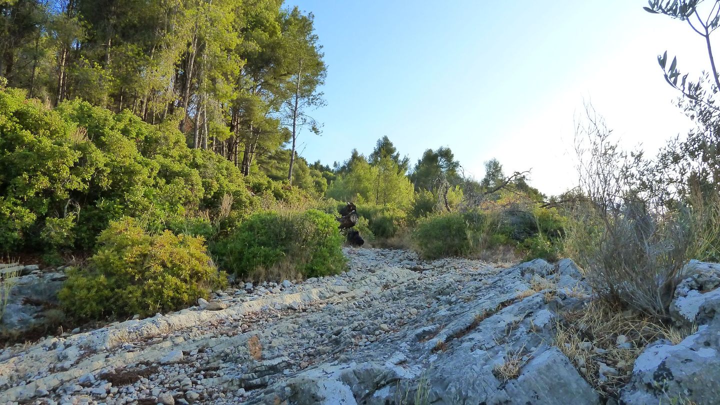 mont_faron_sept_2017_08.JPG
