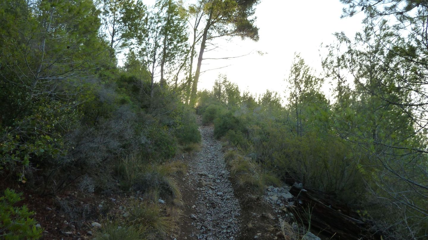 mont_faron_sept_2017_13.JPG