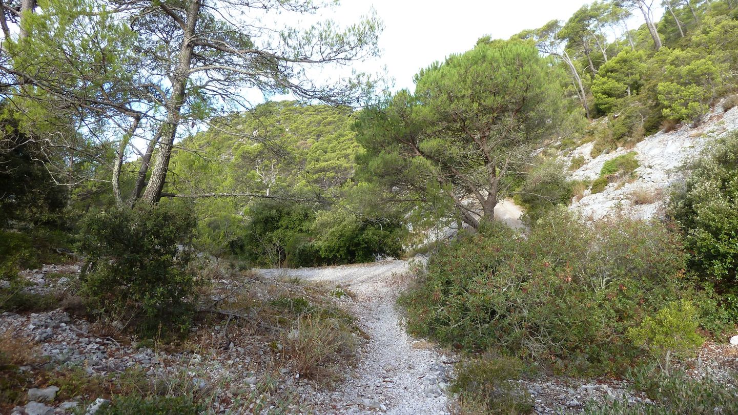 mont_faron_sept_2017_41.JPG