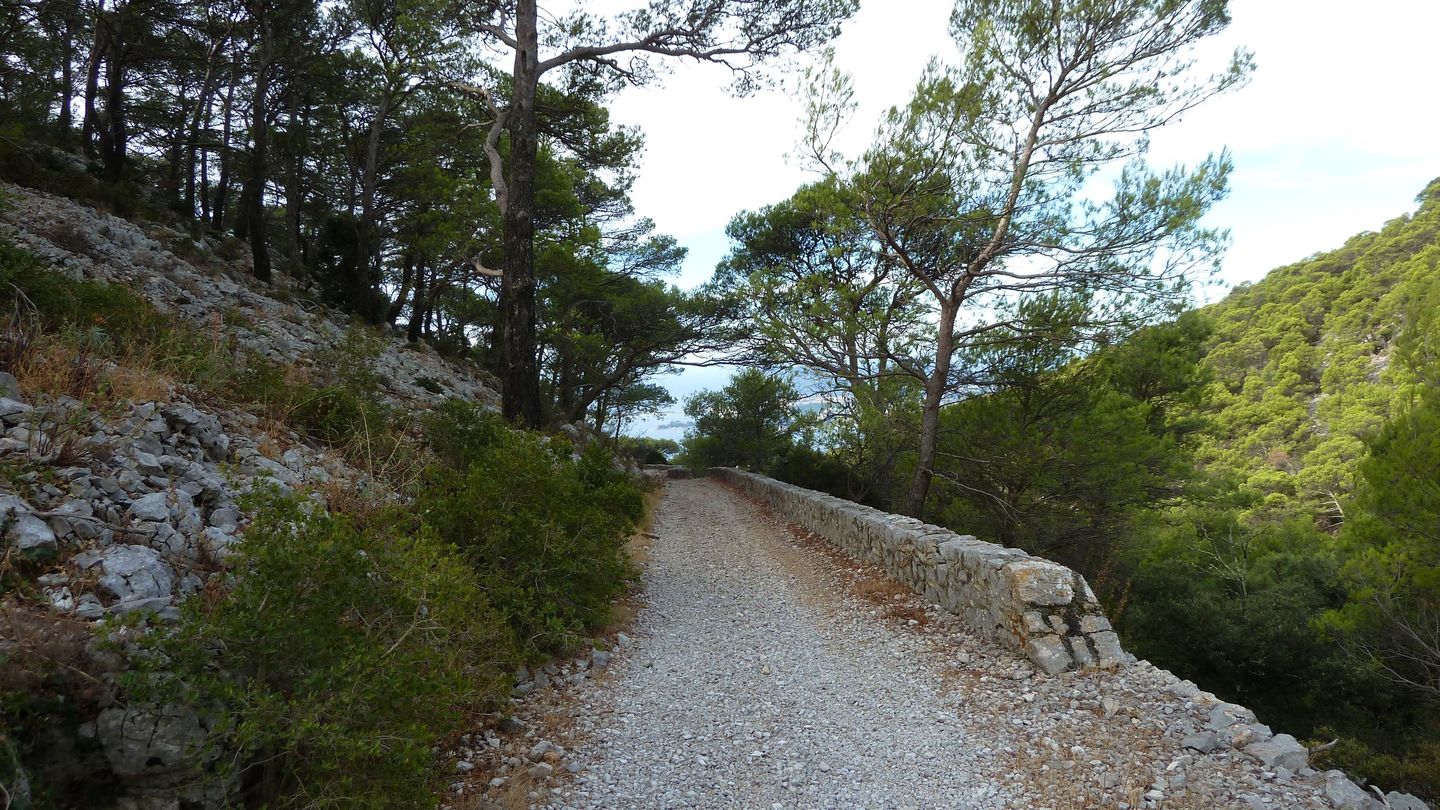mont_faron_sept_2017_42.JPG