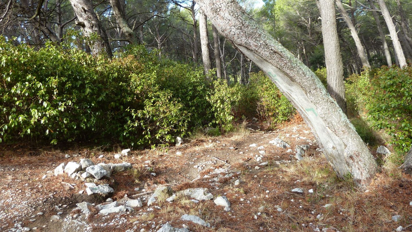 mont_faron_sept_2017_47.JPG