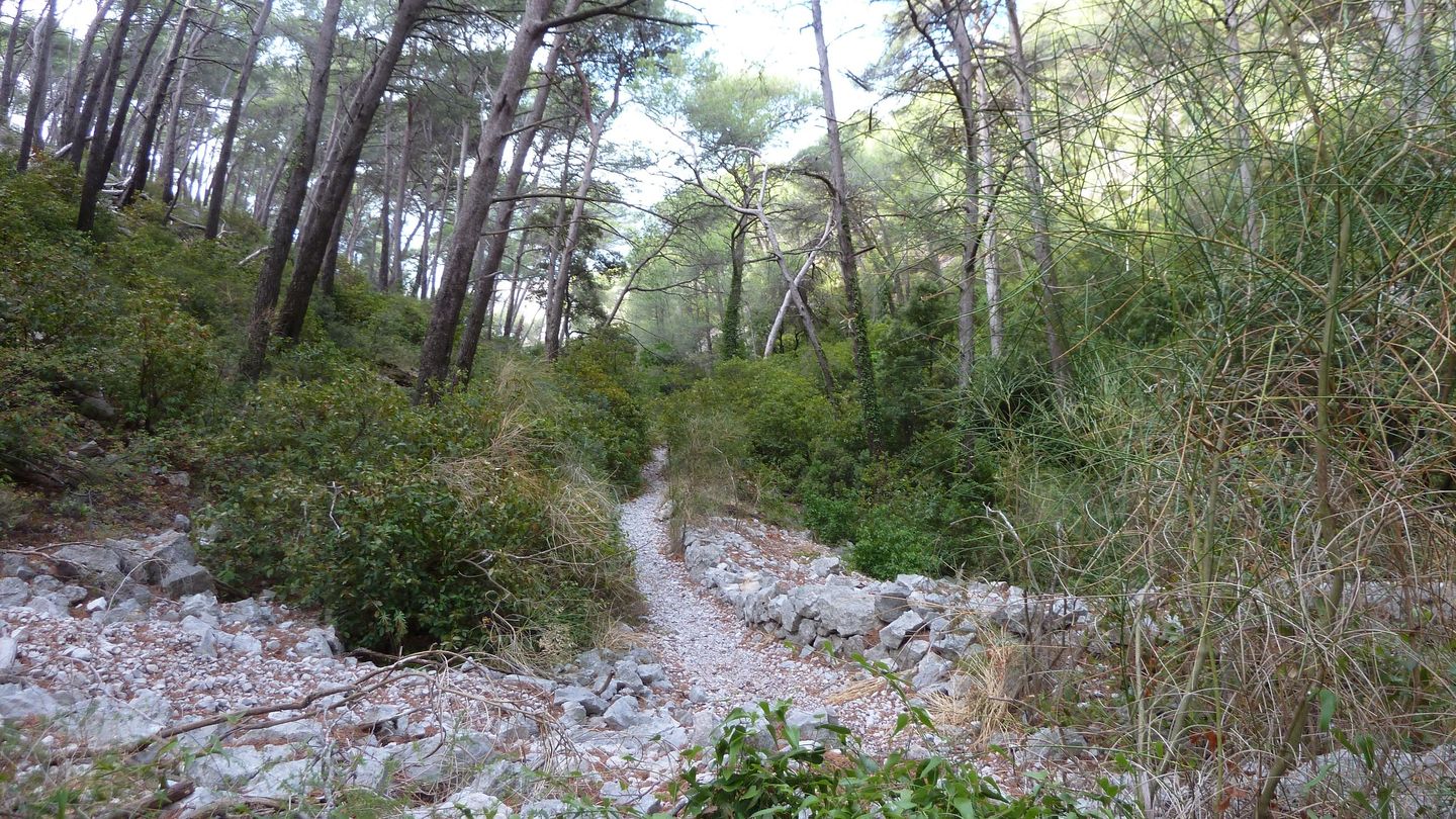 mont_faron_sept_2017_48.JPG