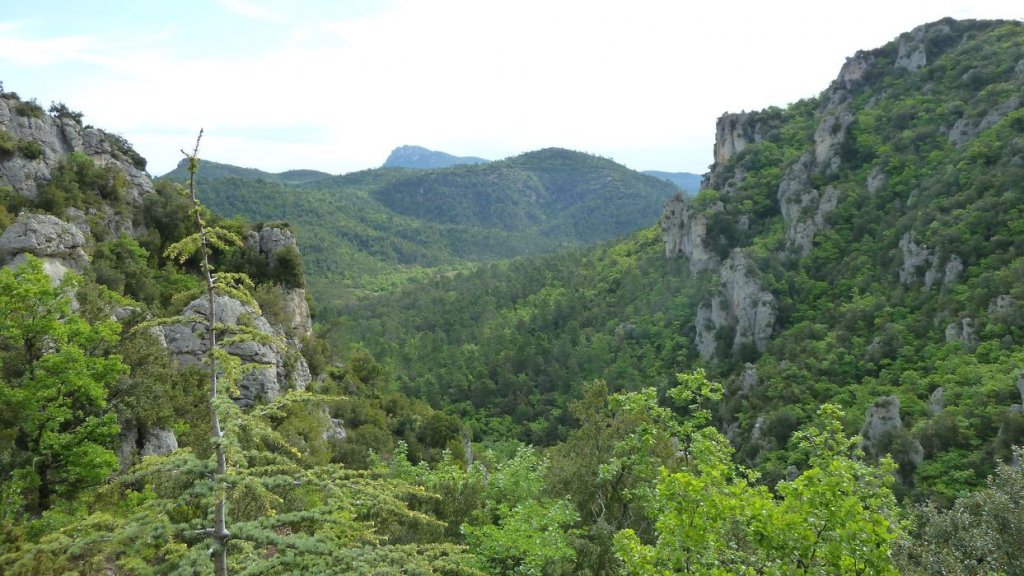 glaciere_pivaut_2014_14.jpg