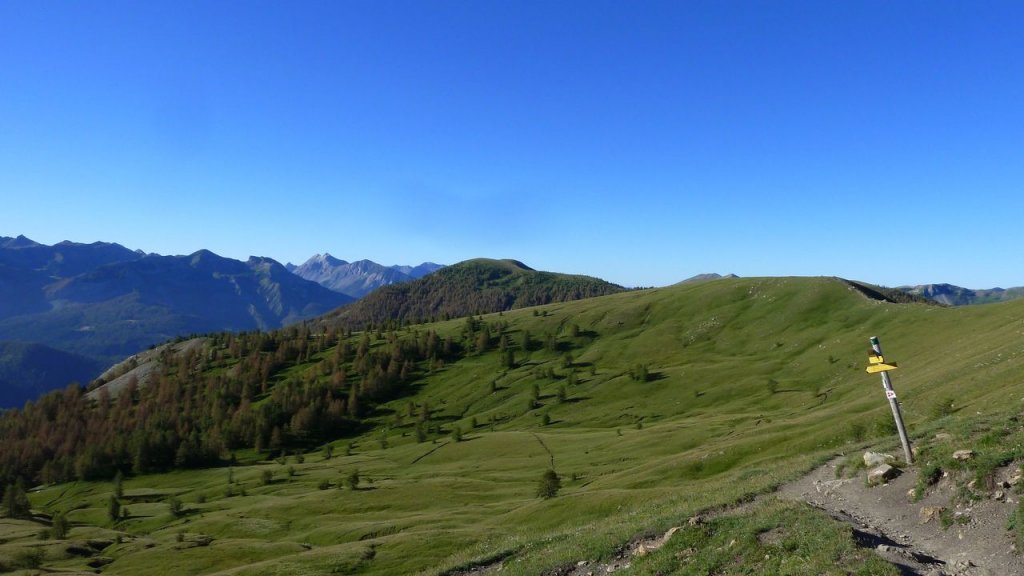 grand_cheval_de_bois_juillet_2016_011.JPG