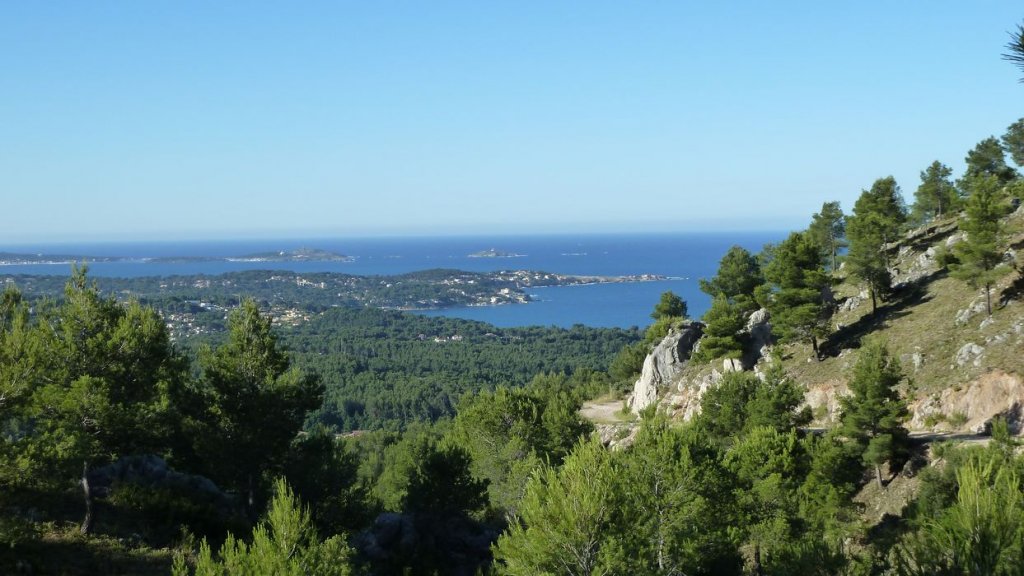 gros_cerveau_juin_2013_010.jpg
