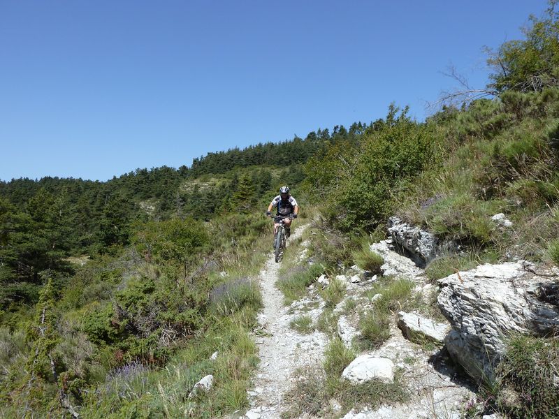 guillaume_2011_015.jpg