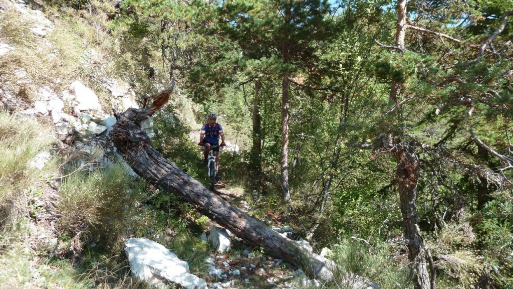 guillaume_aout_2015_029.JPG