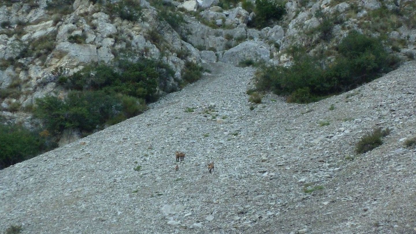 la_valette-moustiers_par_l_issole_2017_31.JPG