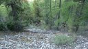 la_valette-moustiers_par_l_issole_2017_21.JPG