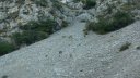 la_valette-moustiers_par_l_issole_2017_31.JPG