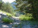 jac_juin_2011_05.jpg