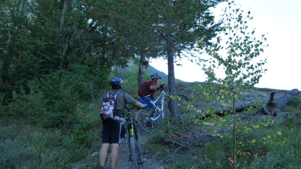 issole_haut_aout_2012_006.jpg