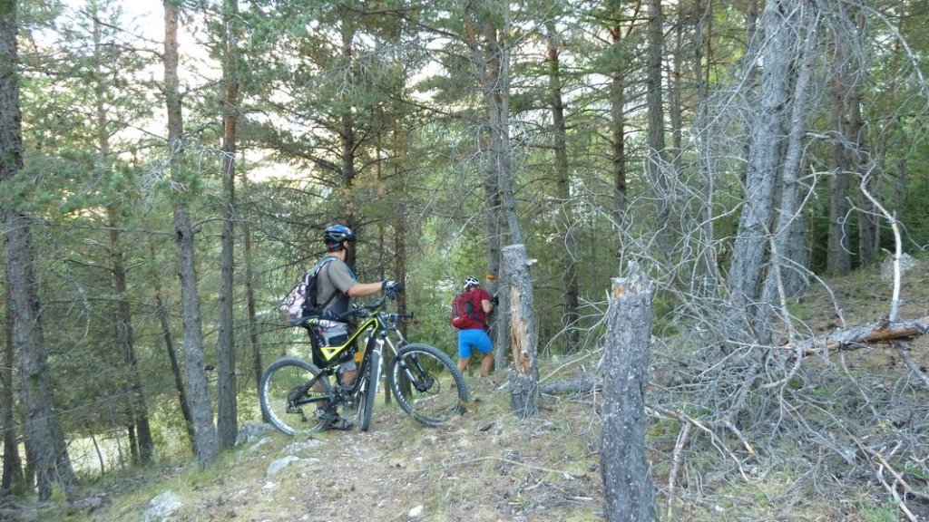 issole_haut_aout_2012_014.jpg