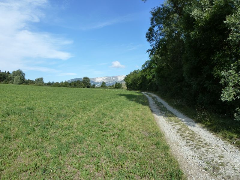 la_batie_2011_011.jpg